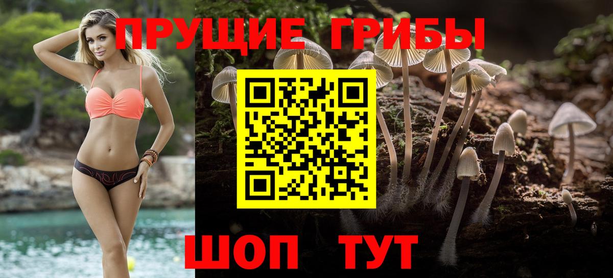 Гусев  Галлюциногенные грибы прущие грибы  где купить наркоту  Вход с VPN 